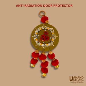 ANTIRADIATION door protector